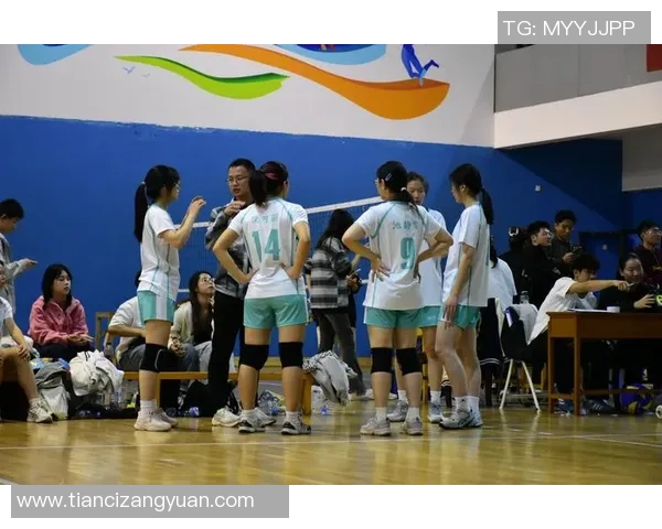 武汉排球队最新排球配合TOP10揭晓引领潮流展现团队实力