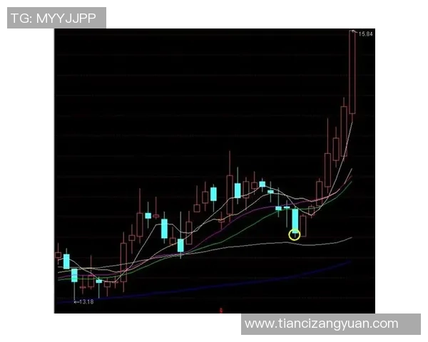 深入分析上海网球队中路突破战术的独特魅力与实战应用