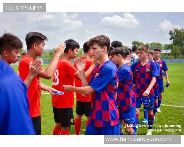 足球明星专访幕后揭秘字幕翻译背后的故事与挑战