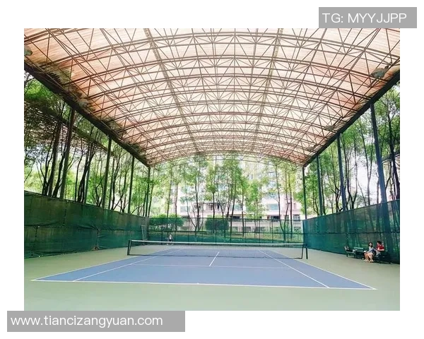 重庆网球队快攻革新之路：技术与战术的全面升级与突破