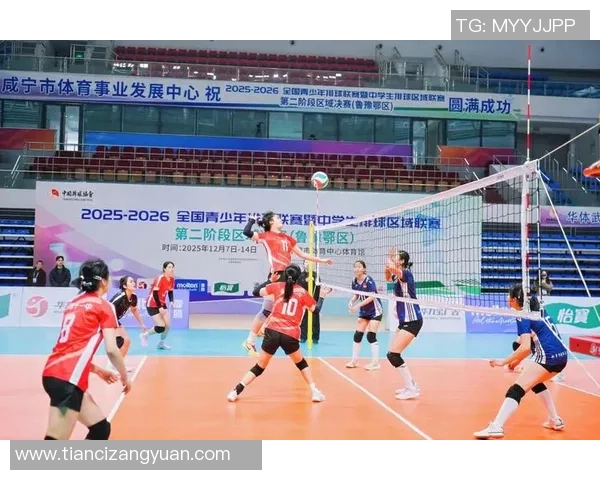 排球巨献：探秘武汉排球队的速度