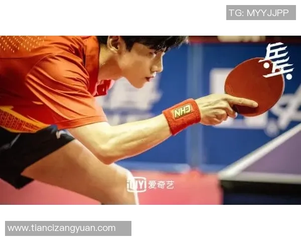 杨磊专访：回顾乒乓球历程
