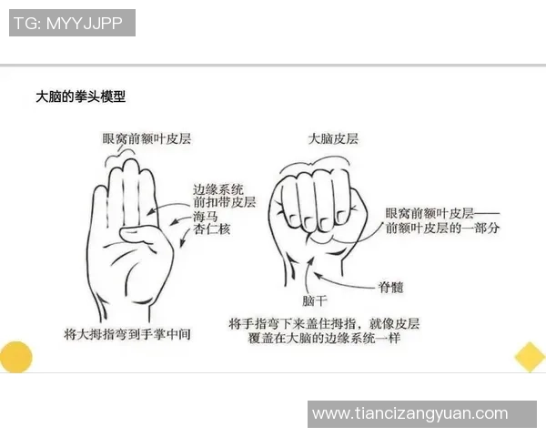 数据分析：广州滑板队的心理素质表现