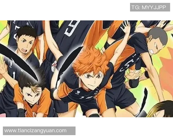 从零开始：排球速度完全攻略