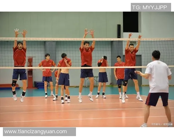 聚焦排球：南京排球队的团队协作话题