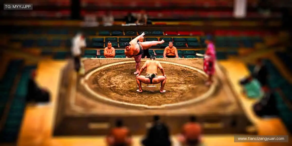 📺高清多机位，VR 沉浸体验！实时弹幕互动，不错过任何精彩！🎯